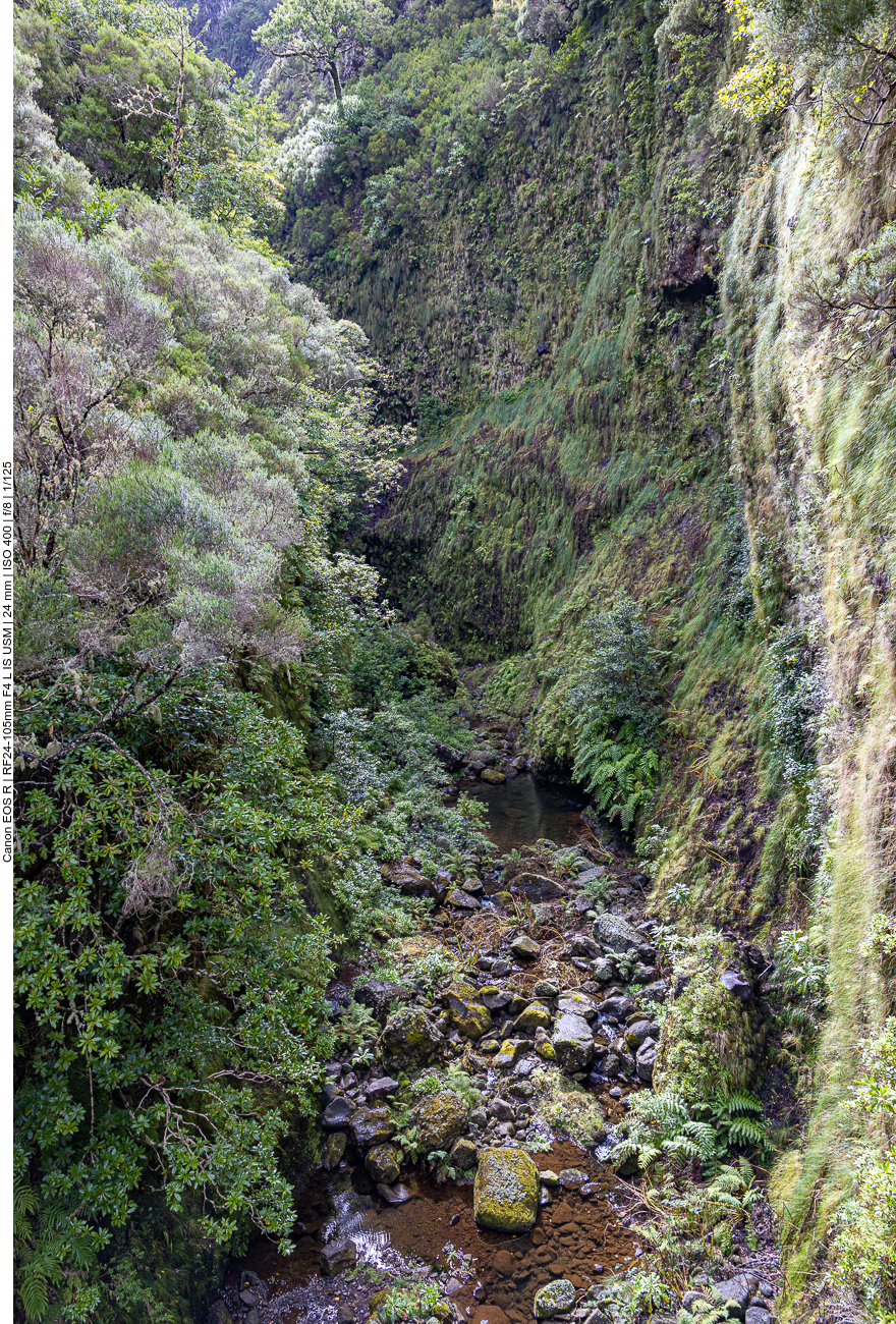 Die Schlucht, deren Wasser vom Wasserfall gespeist wird