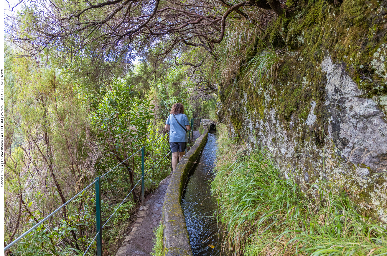 Weiter am Wasserlauf entlang ...