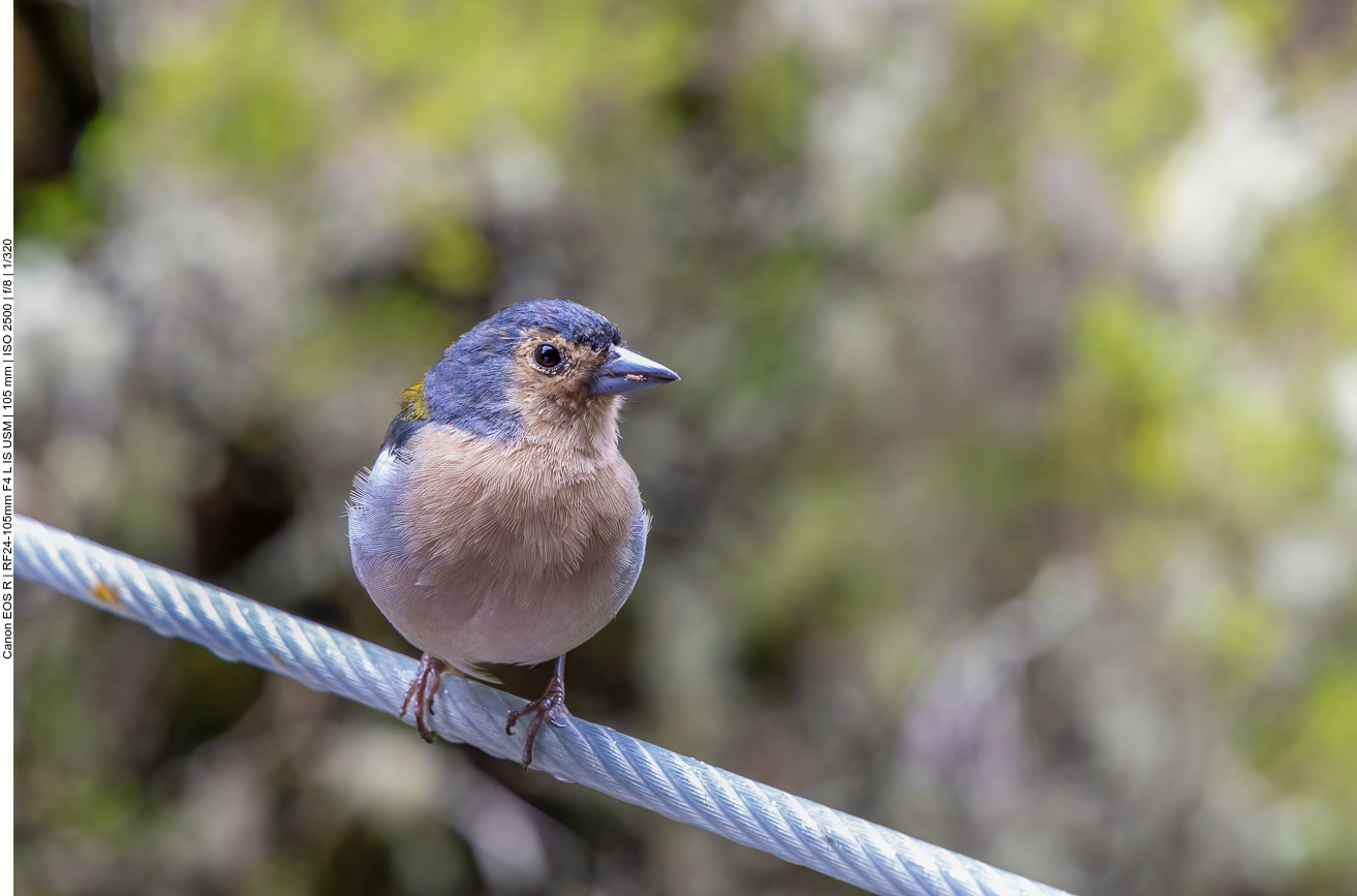 ... und sich geduldig fotografieren ließ