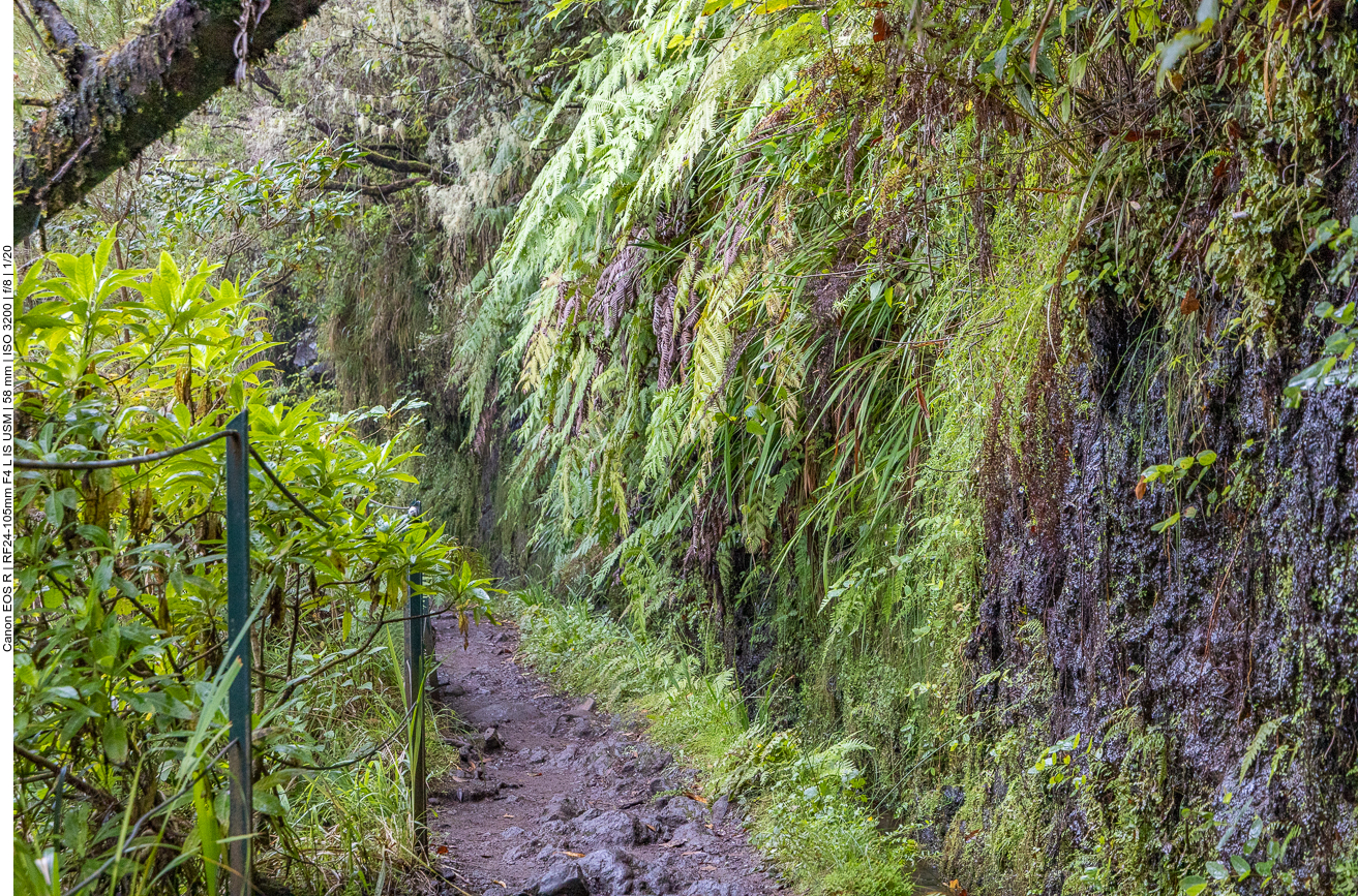 Hier ist es eng und feucht, der Boden rutschig