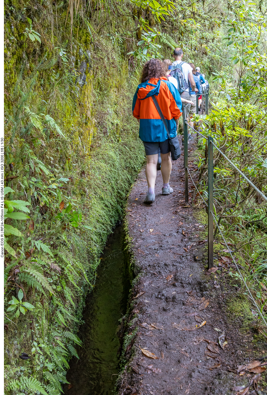 Im Gänsemarsch immer an der Levada entlang