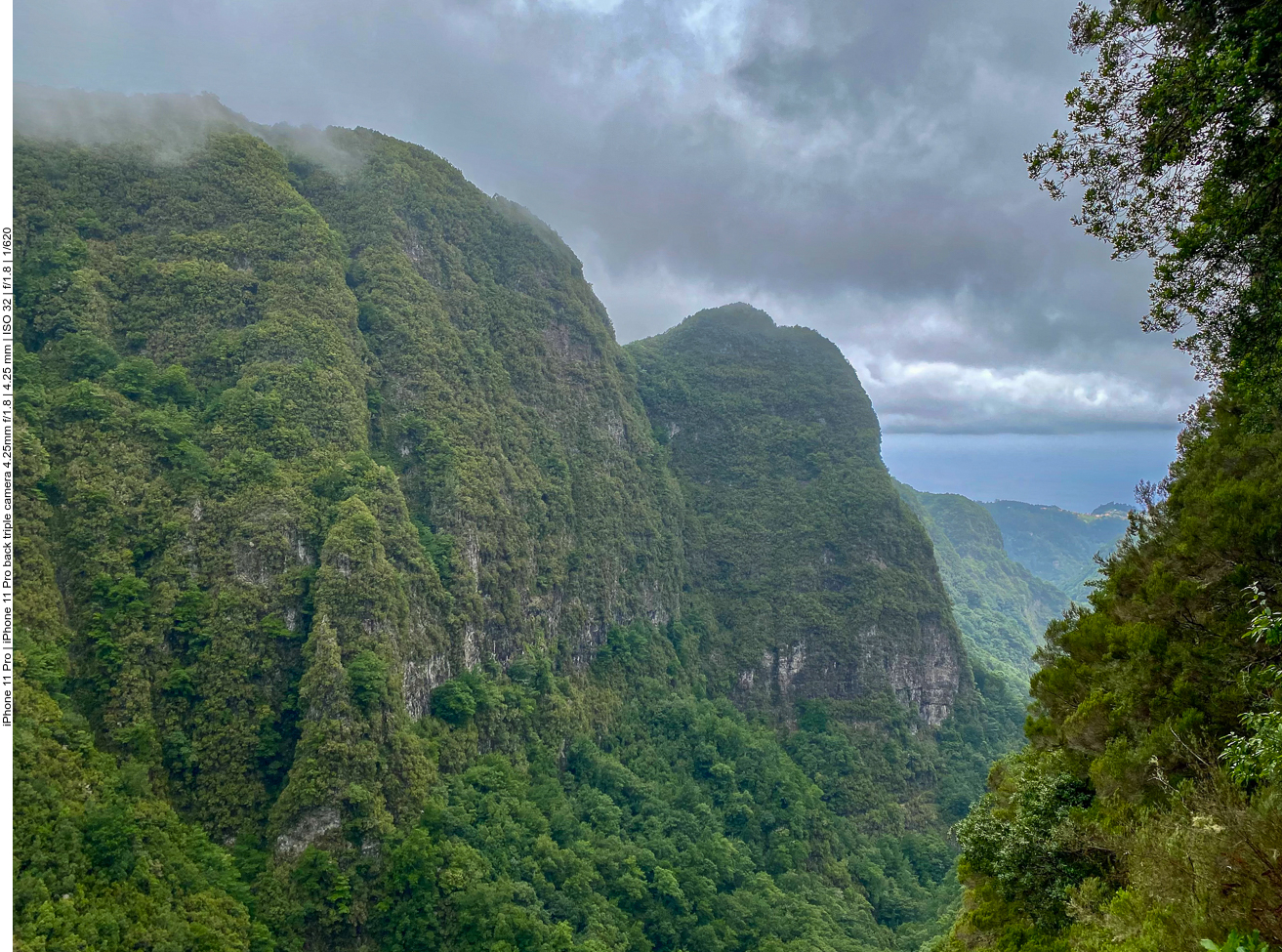 An der Küste war es sonnig, hier oben ist es bewölkt und regnerisch