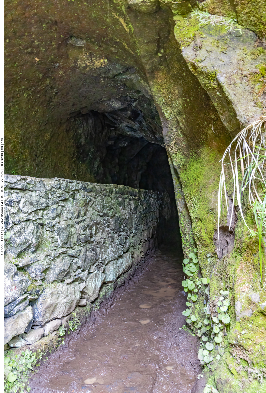 Auch heute geht es wieder durch einen Tunnel