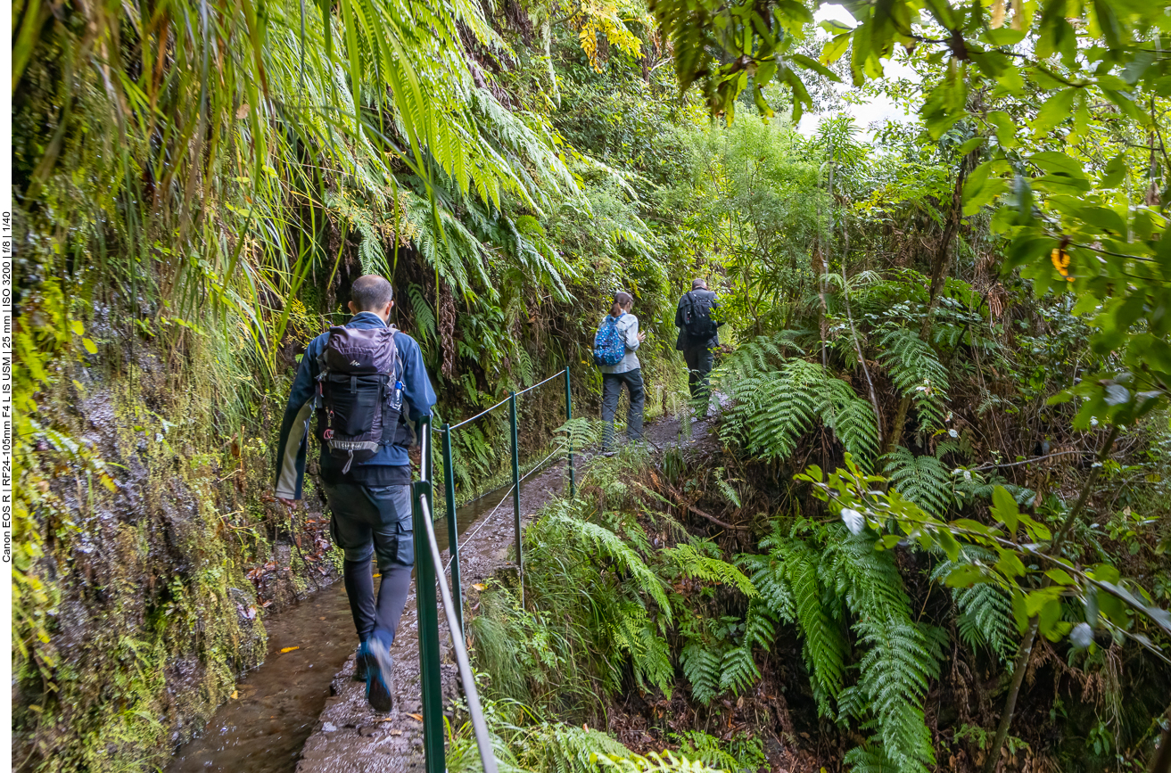... es fehlen nur noch die wilden Tiere ;-)