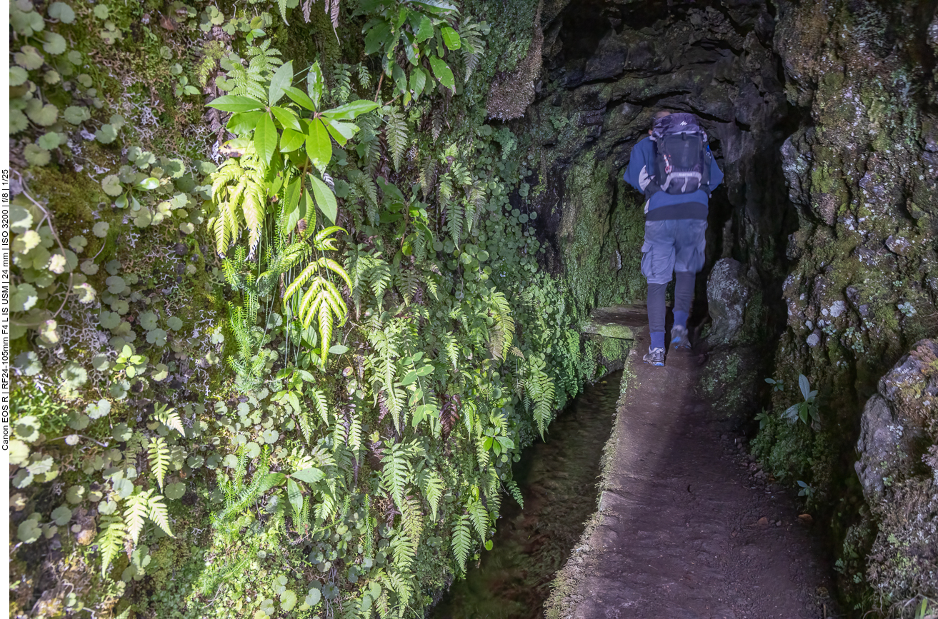 Wieder geht es durch den Tunnel