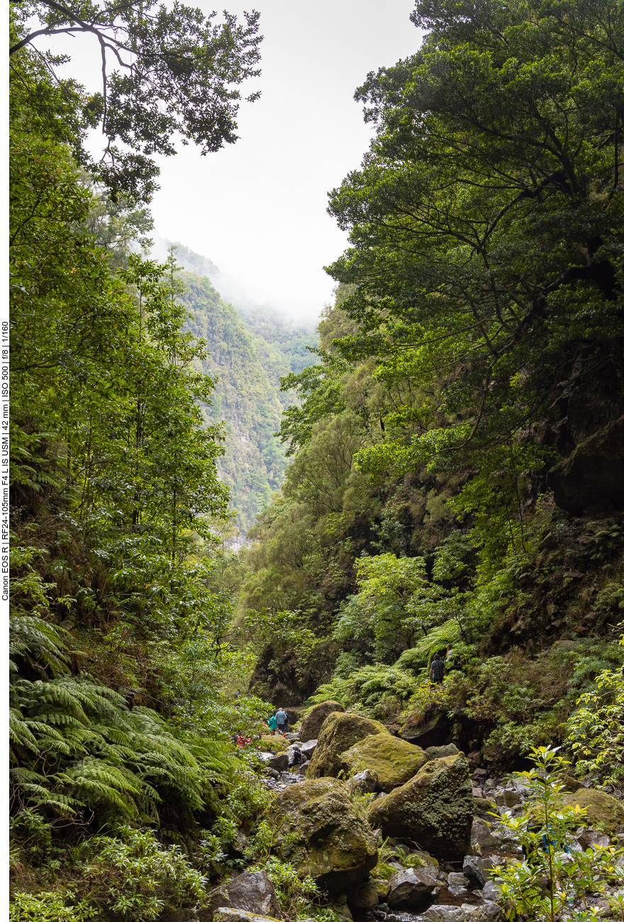 Hier sind wir wieder auf dem Rückweg