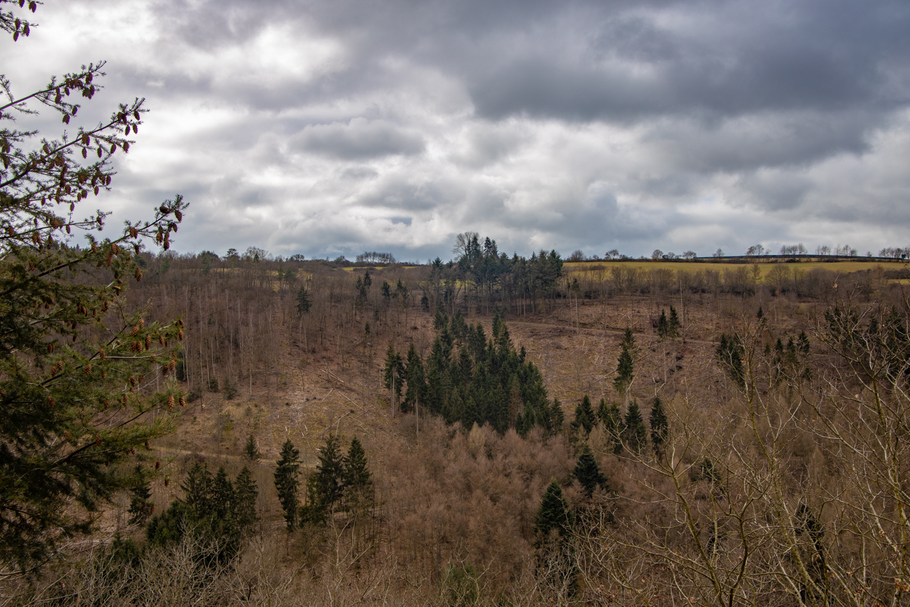 Die gegenüberliegende Bergseite