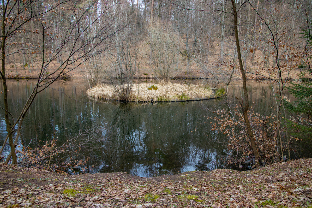 Am Karlsbergweiher