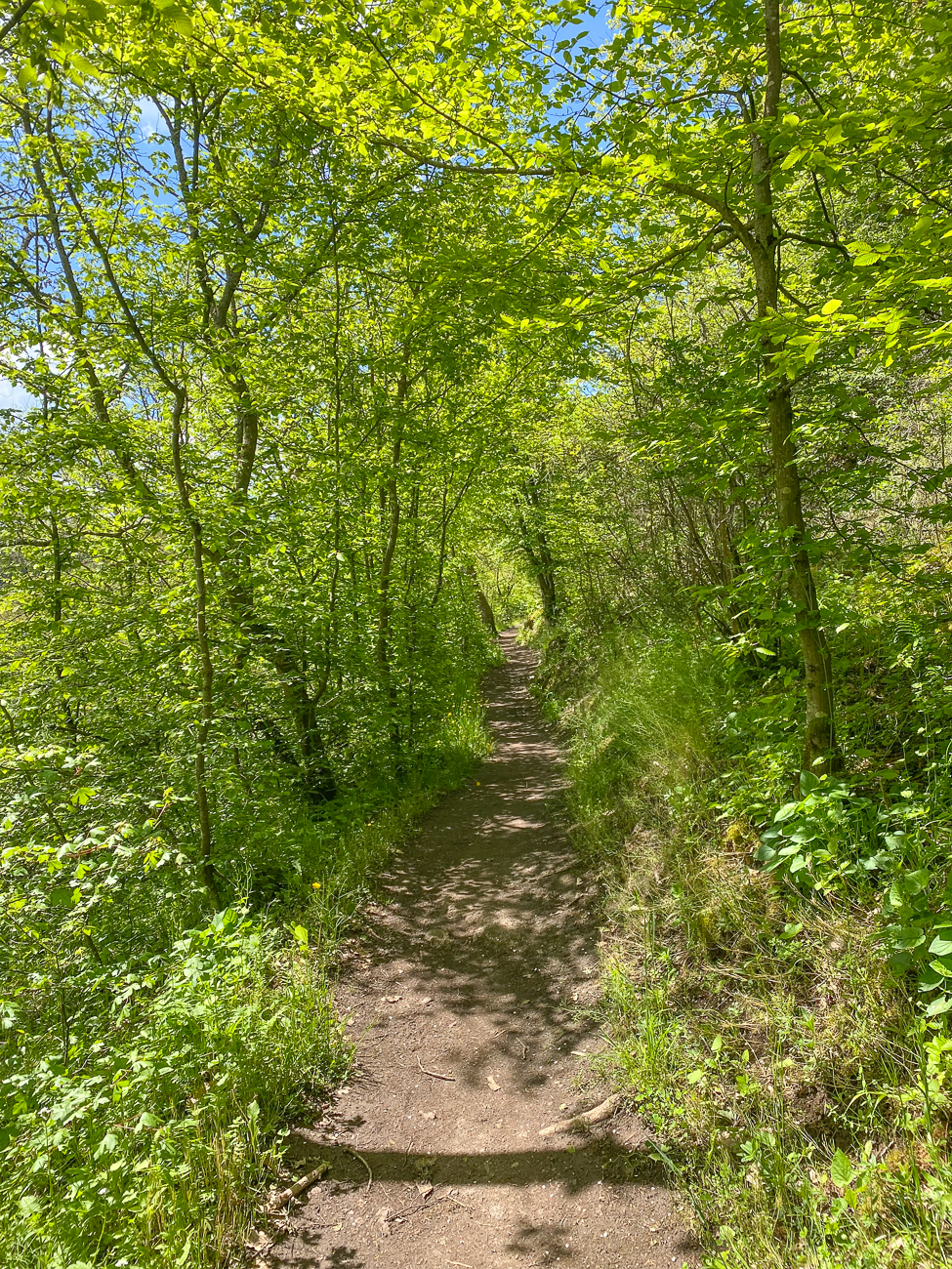 Sonne und Schatten
