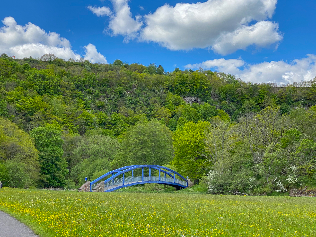 Brücke über die Nahe