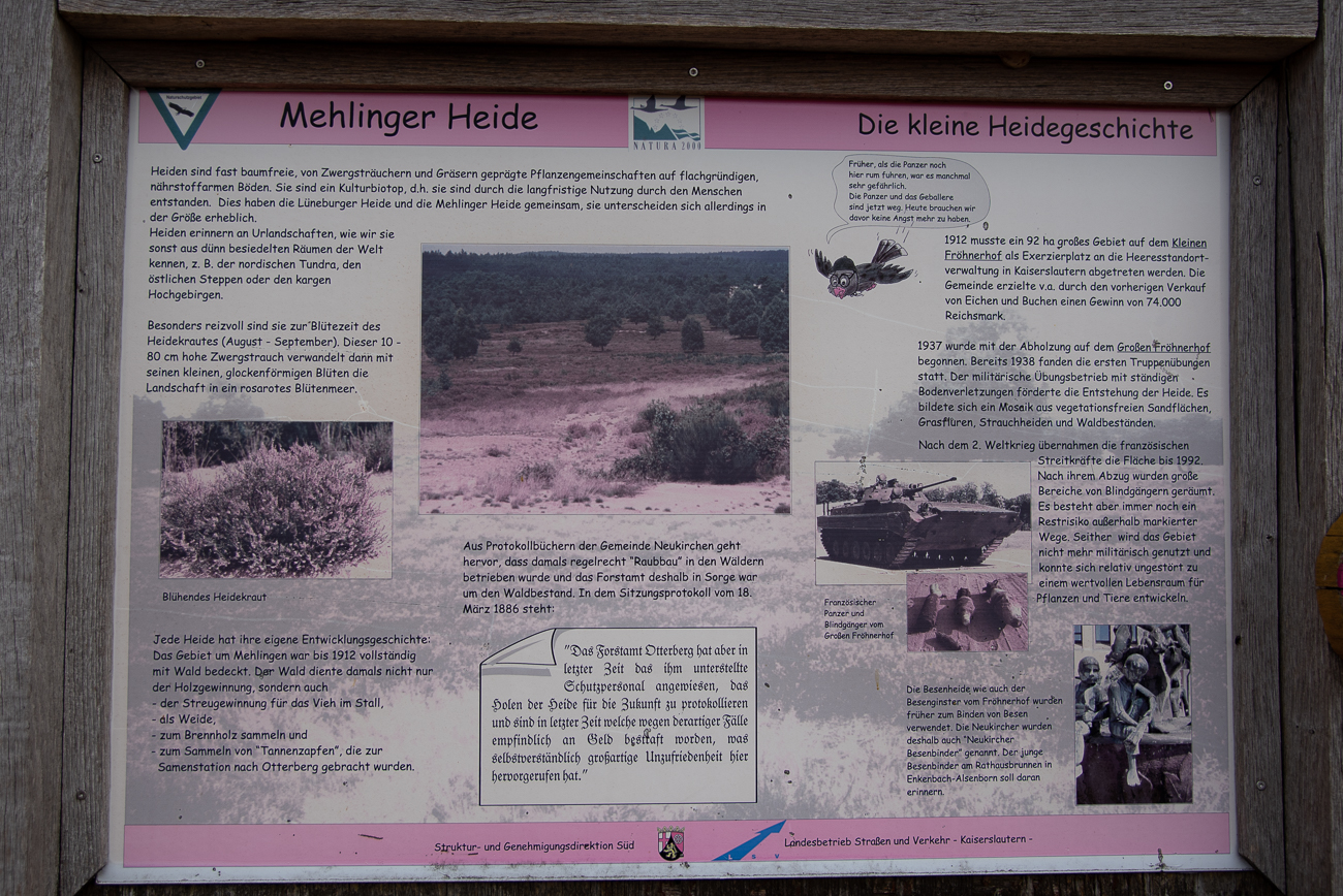 Infos zur Mehlinger Heide