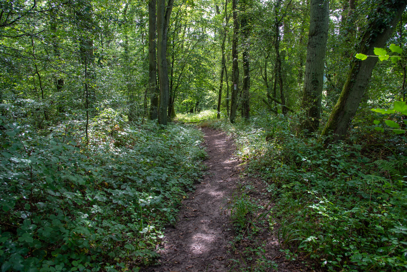 Singletrail ...