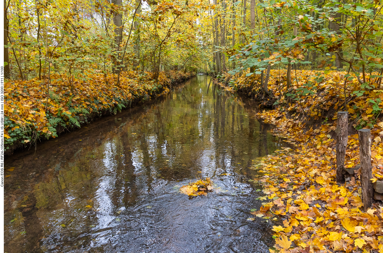 Der Spiegelbach