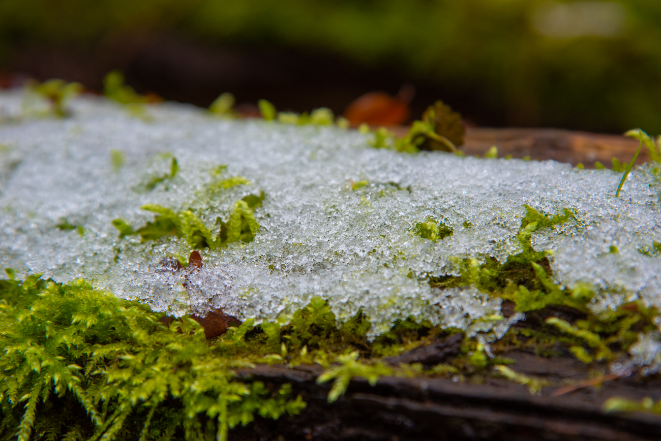 Schneereste