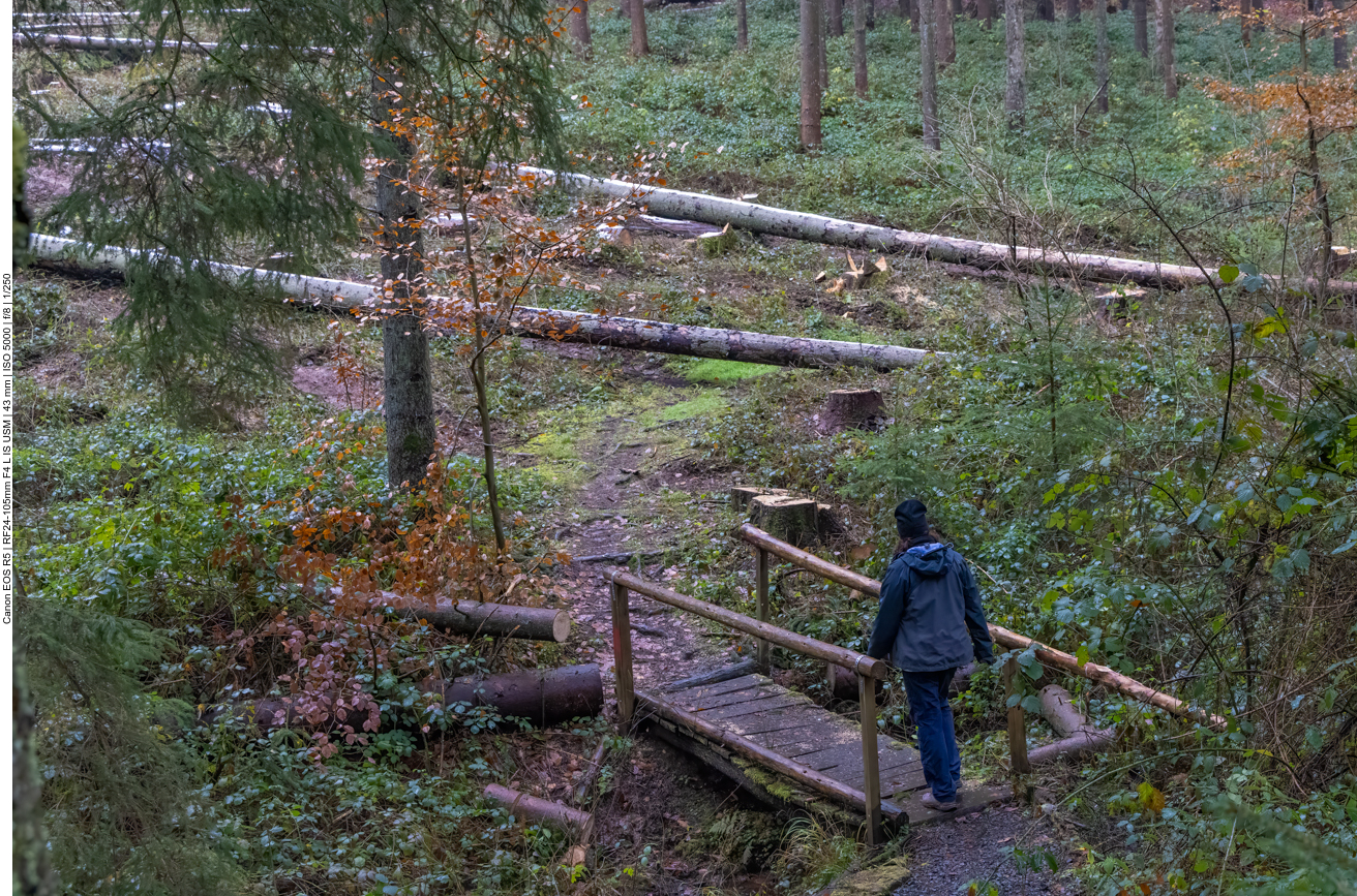 Rutschige Brücke