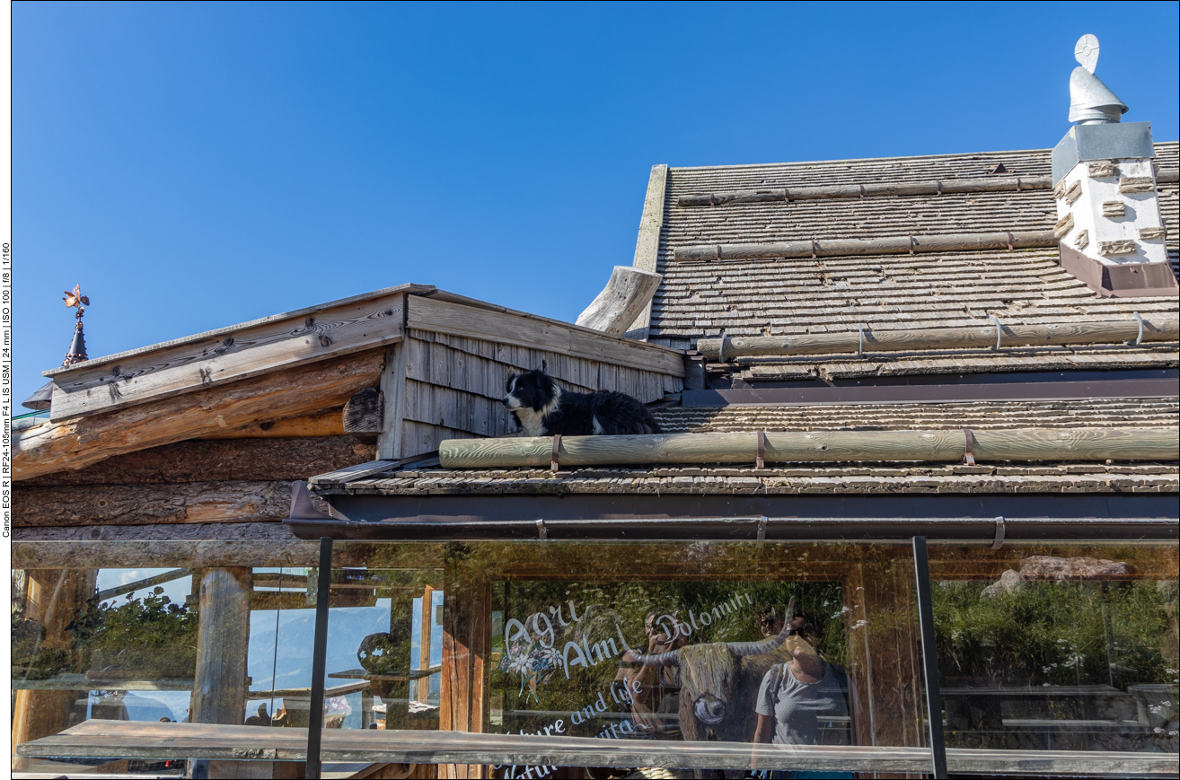 ... bevor wir uns einem ungew&ouml;hnlichen Dachhasen widmen ;-)