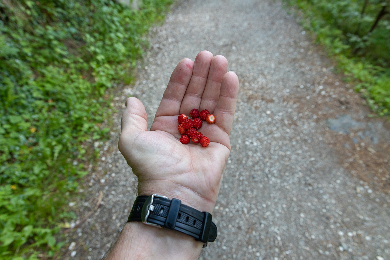 ... die wir uns gleich schmecken lassen ;-)