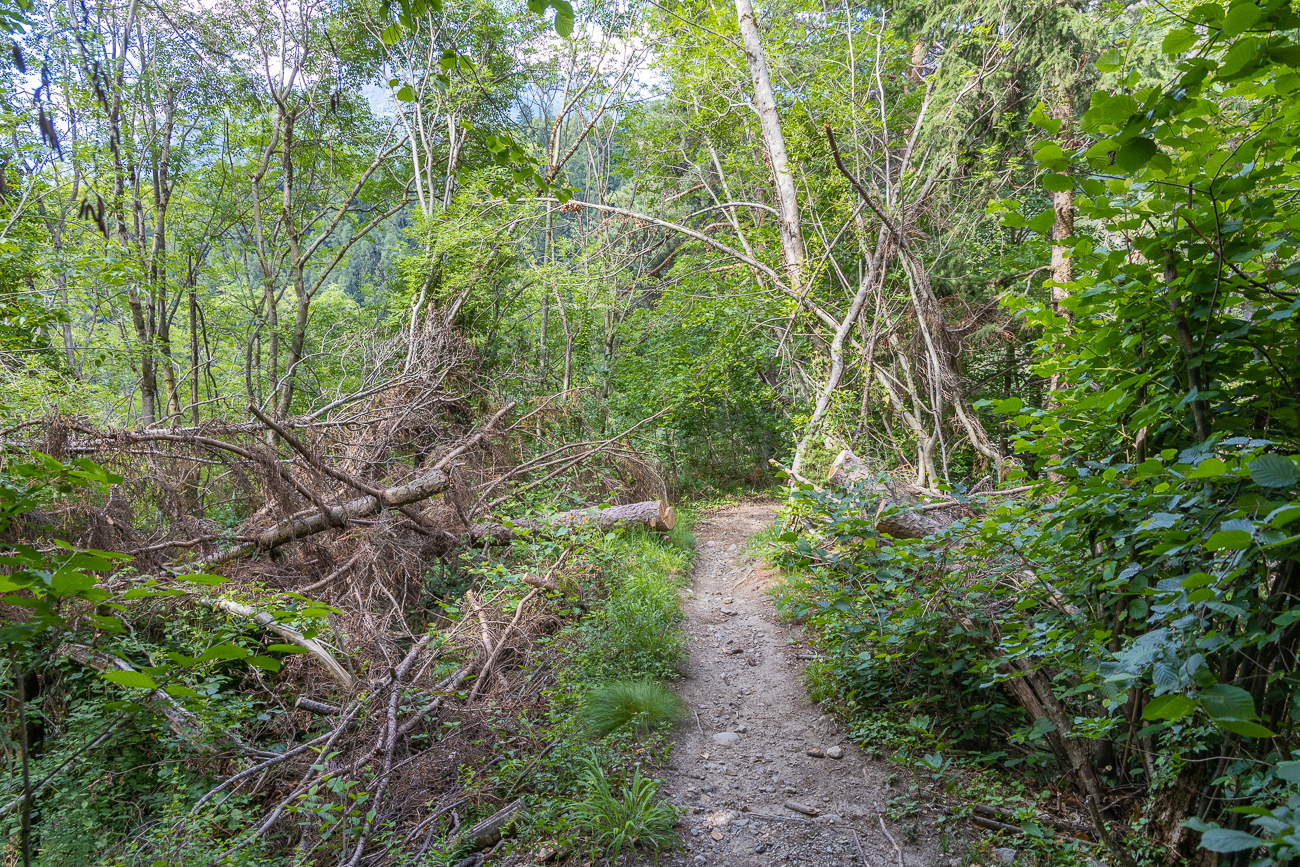 Schmale Pfade führen weiter Richtung Kuens