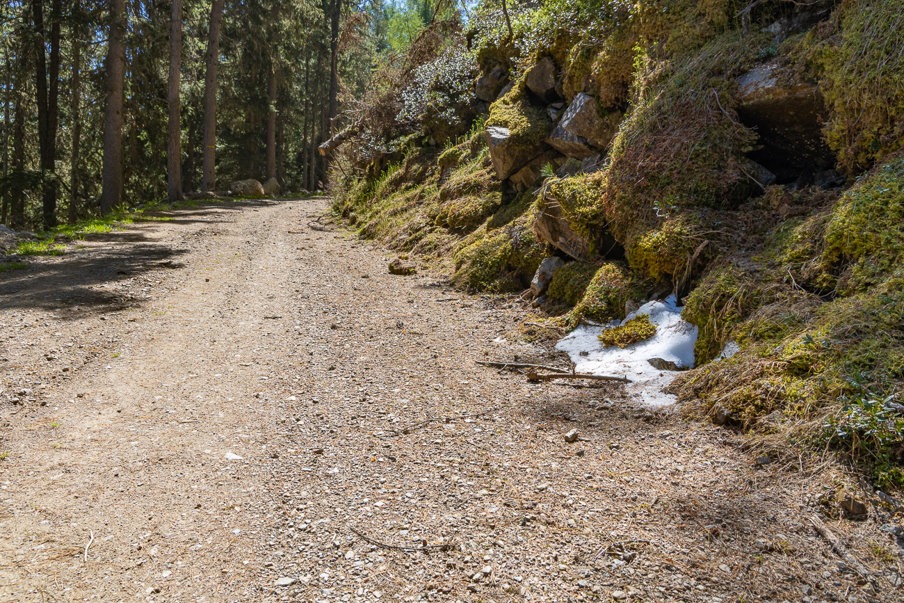 Letzte Schneereste im Schatten