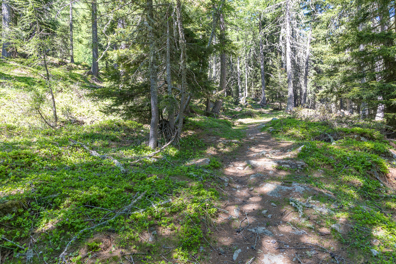 Steile Pfade führen uns weiter