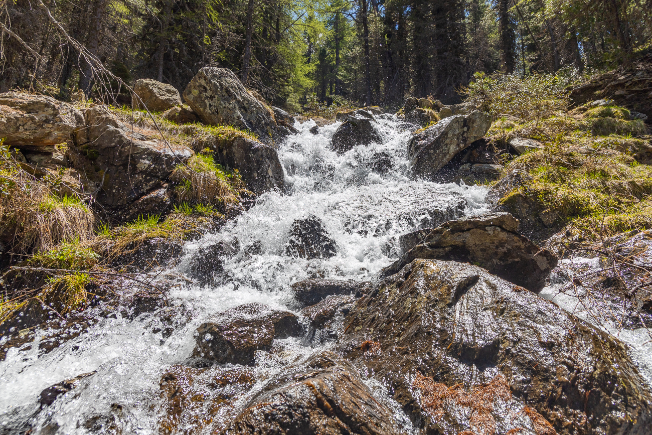 Der &uuml;berbr&uuml;ckte Bach