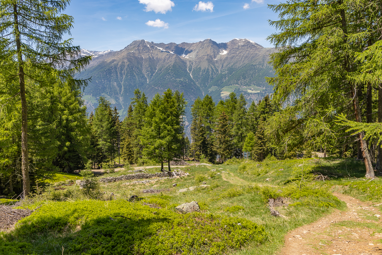 Sch&ouml;ner Weg ins Tal
