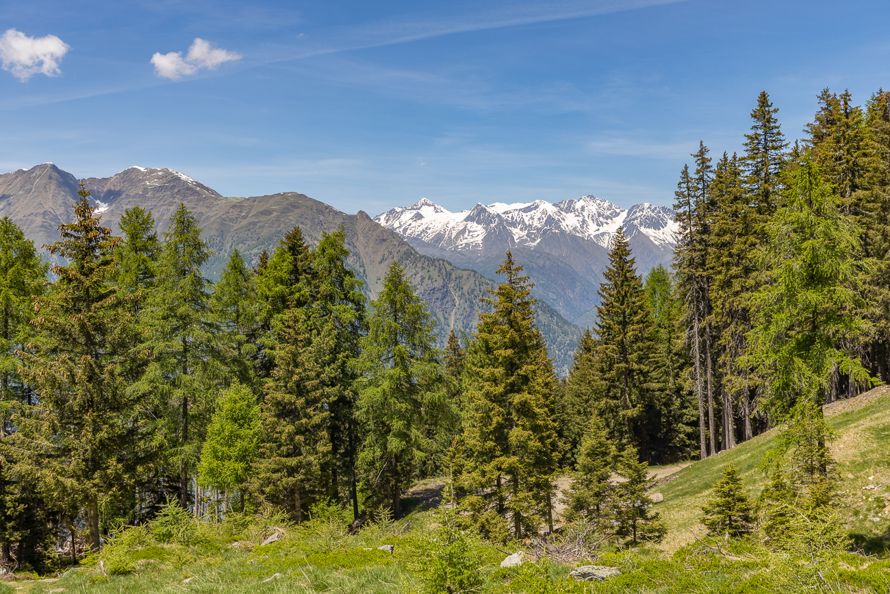 Hier kann man die Natur genie&szlig;en