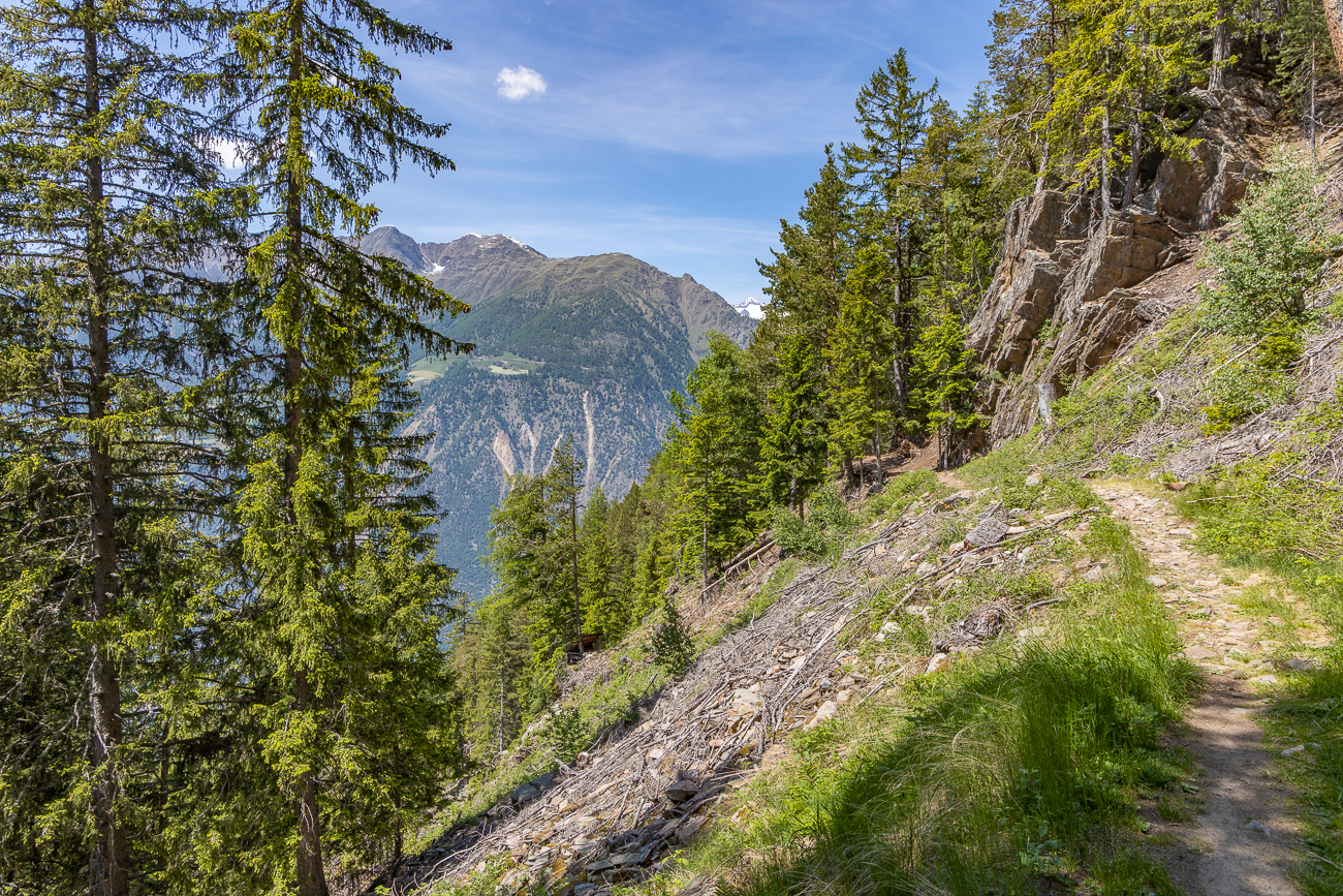 Vom schmalen Pfad ...