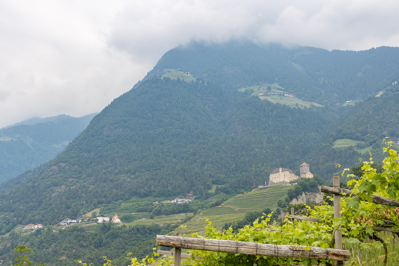 Schloss Tirol in Sicht