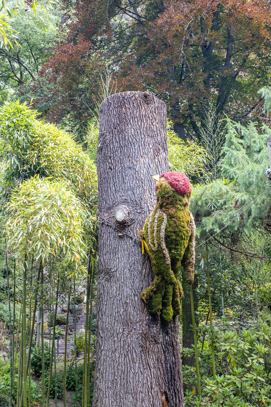 Specht aus Blumen gefertigt