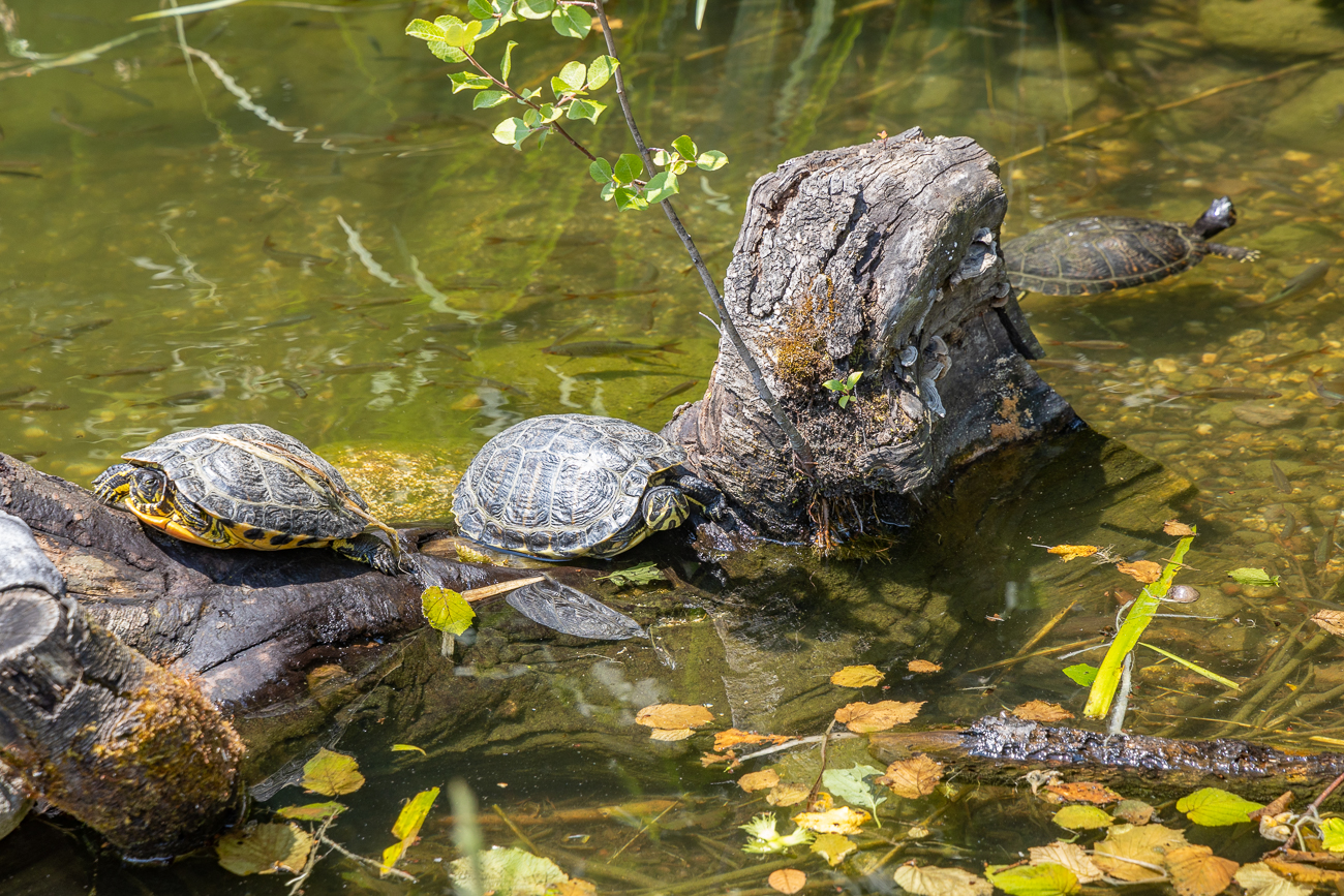 ... und dem Rücken in der Sonne lässt es sich aushalten