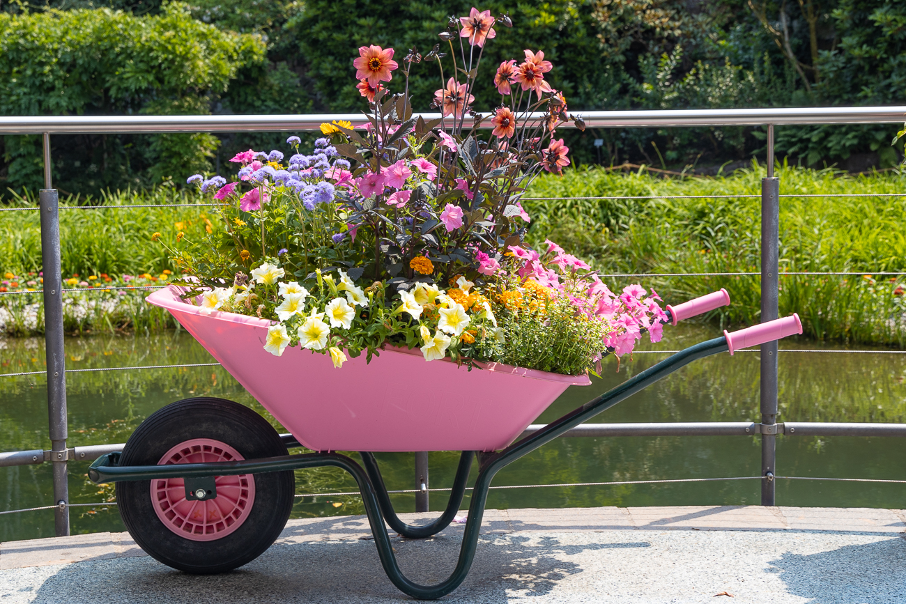 Bepflanzte Barbie-Schubkarre ;-)
