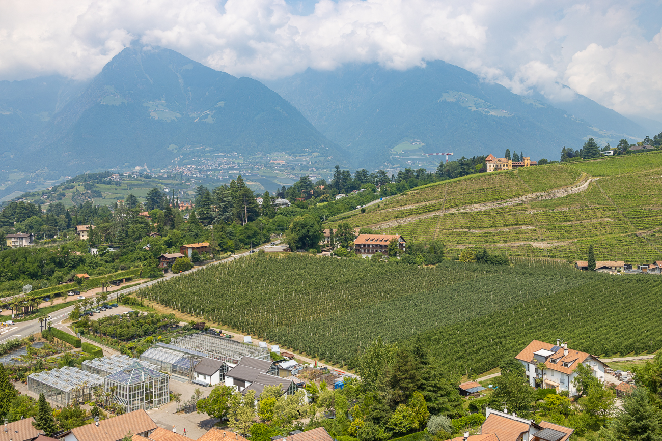 Blick von oben auf die Gew&auml;chsh&auml;user und die Weinreben