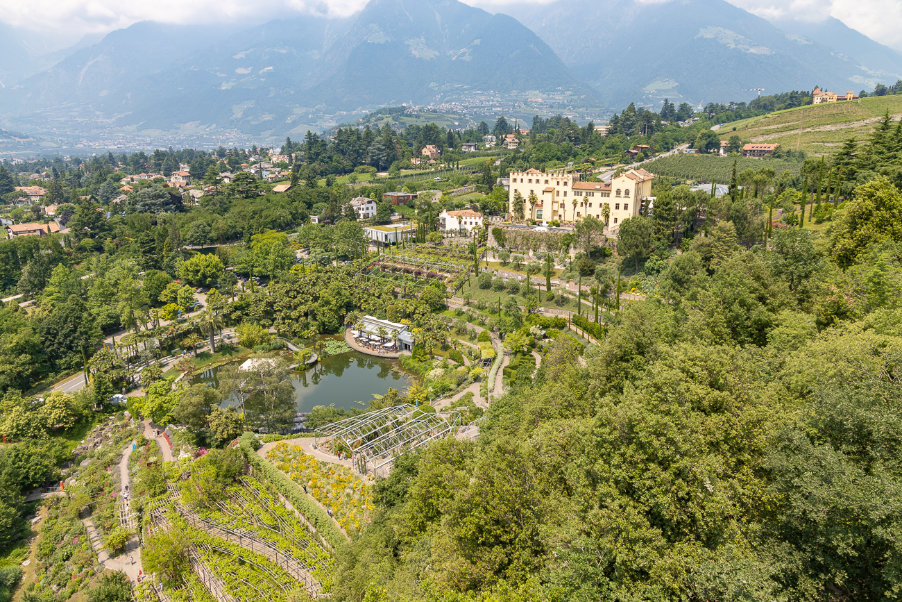 ... mit Überblick ...