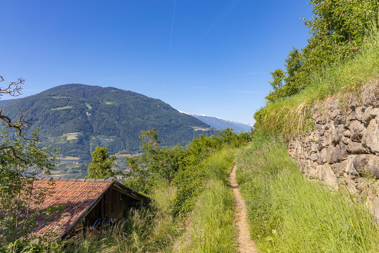 Ein schmaler Pfad in der Höhe ...