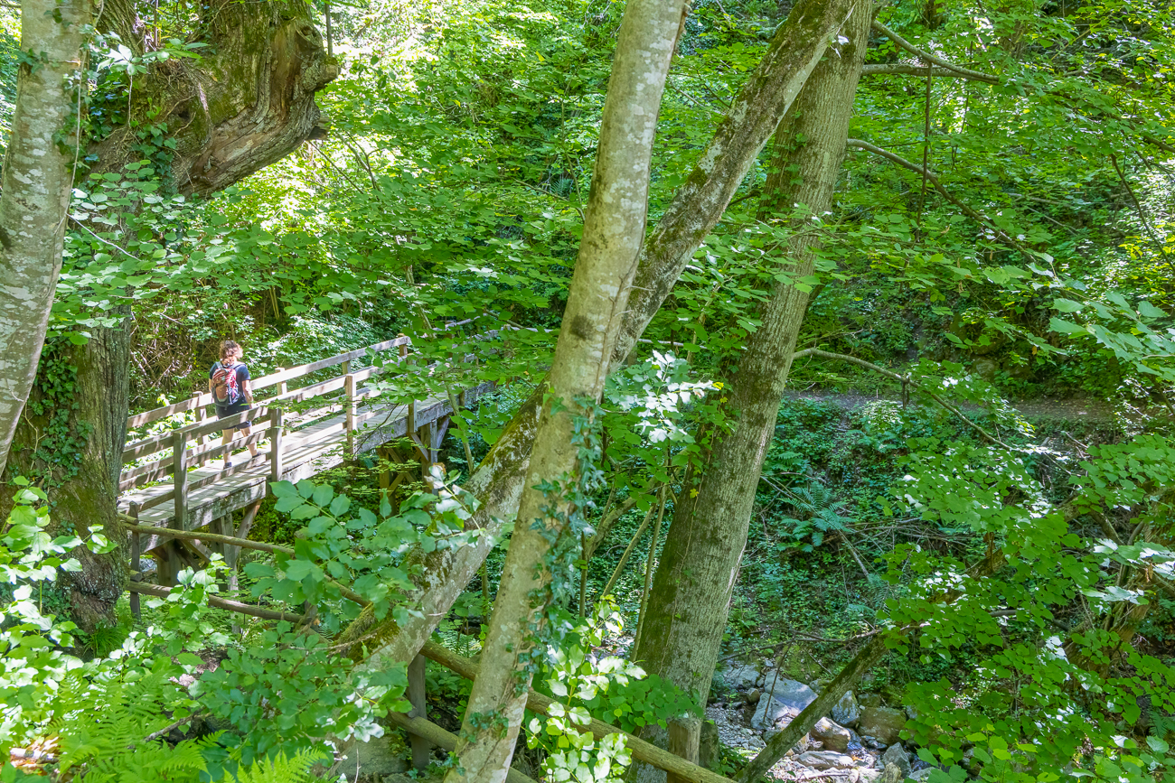 Versteckte Br&uuml;cke