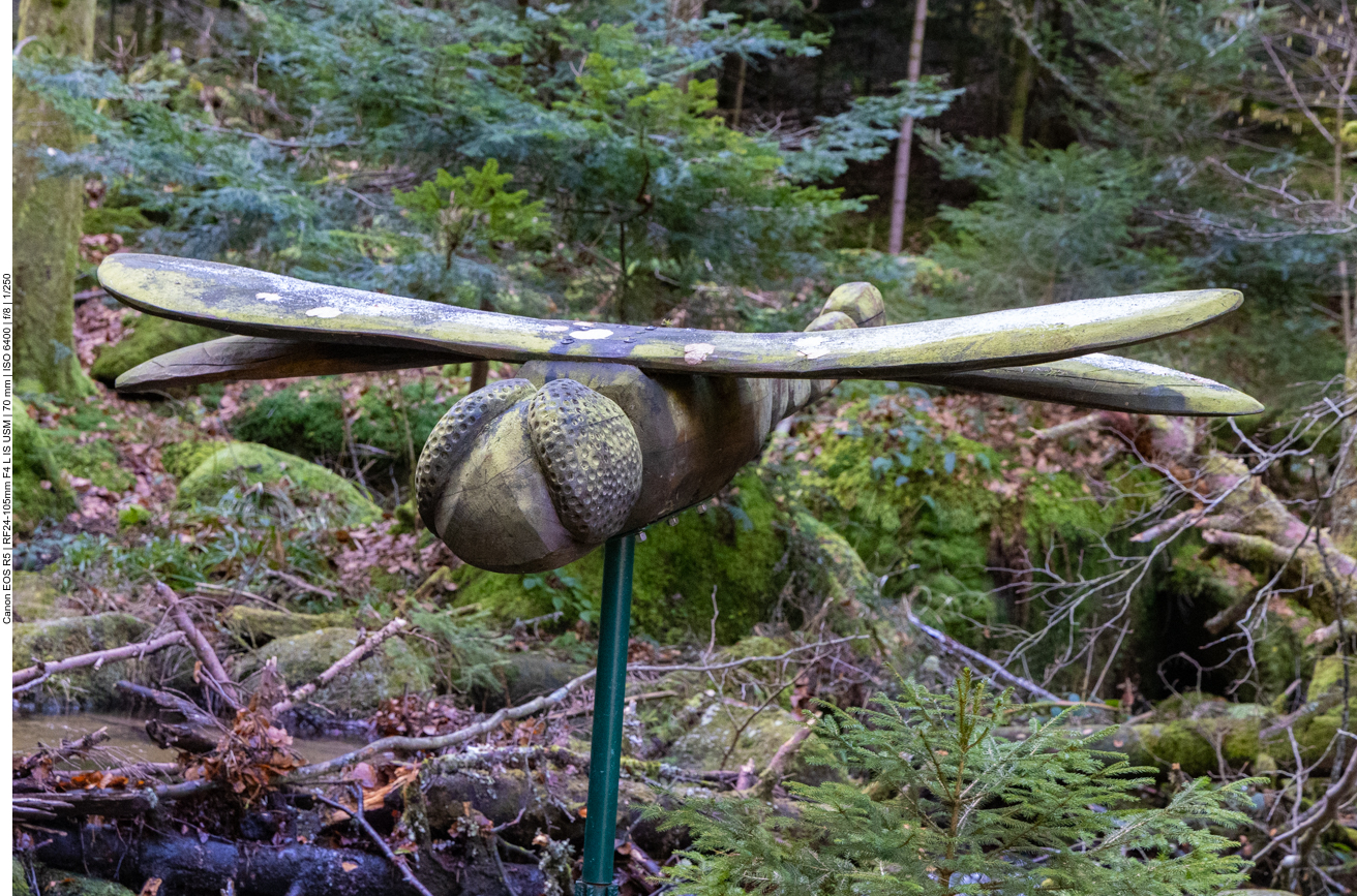 Hölzerne Libelle
