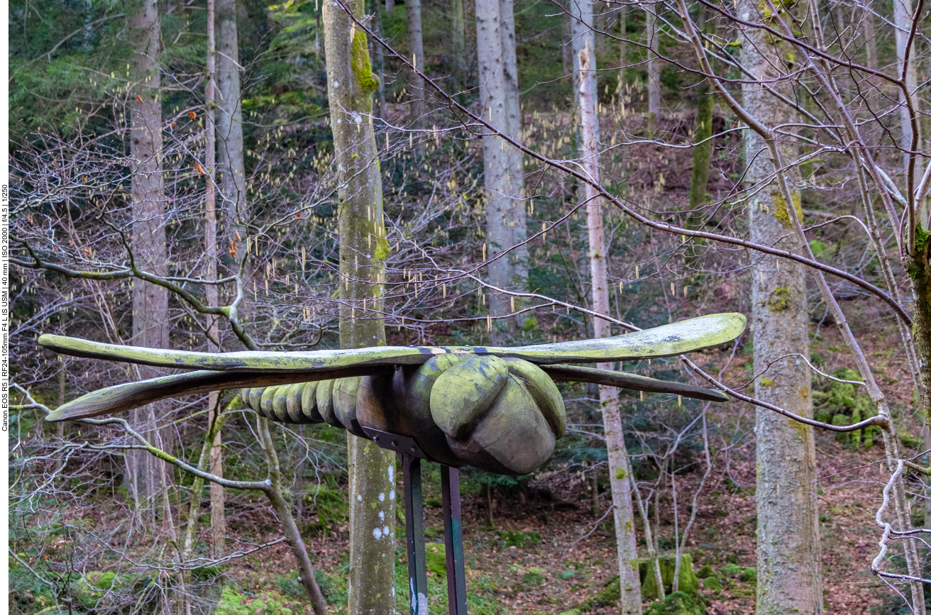 Hölzerne Libelle