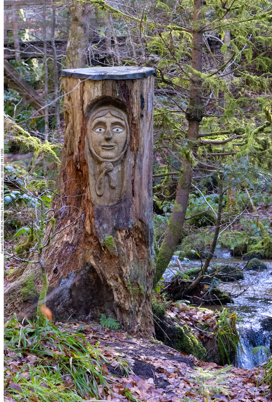 Schnitzerei im Wald