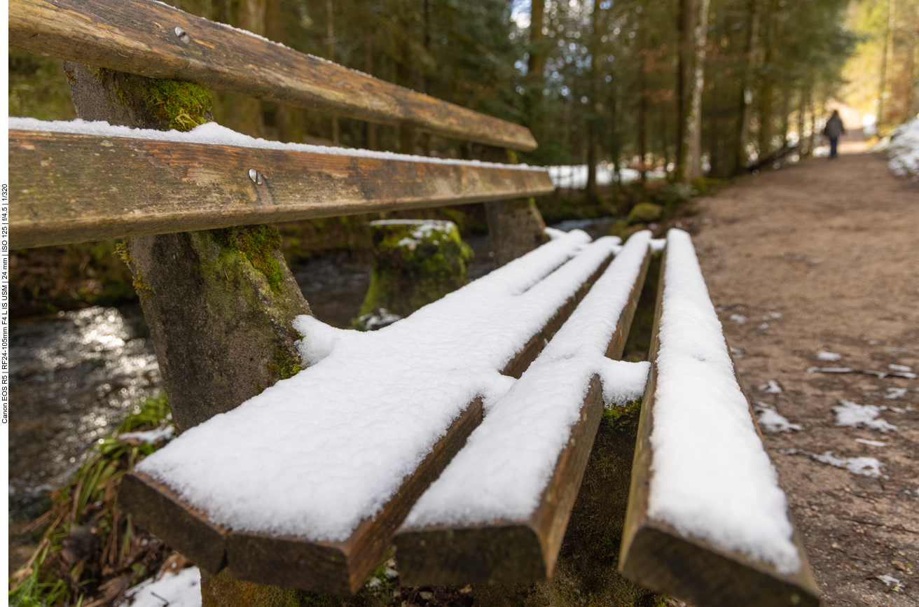 Schneebedeckte Bank