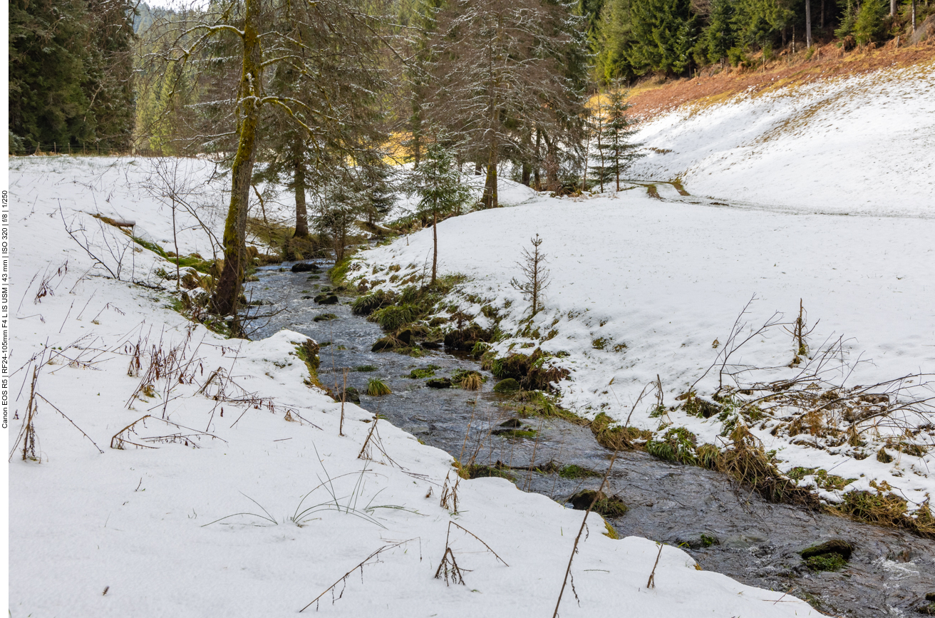 Der Sankenbach