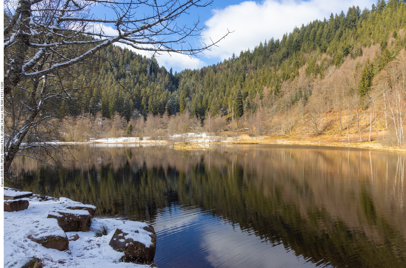 Am Sankenbachsee
