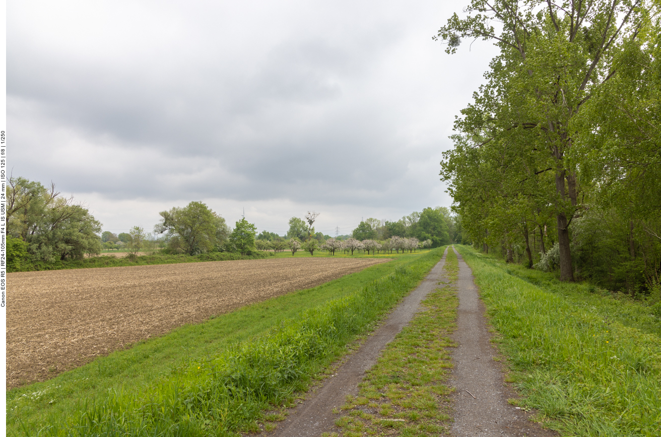 Deichweg