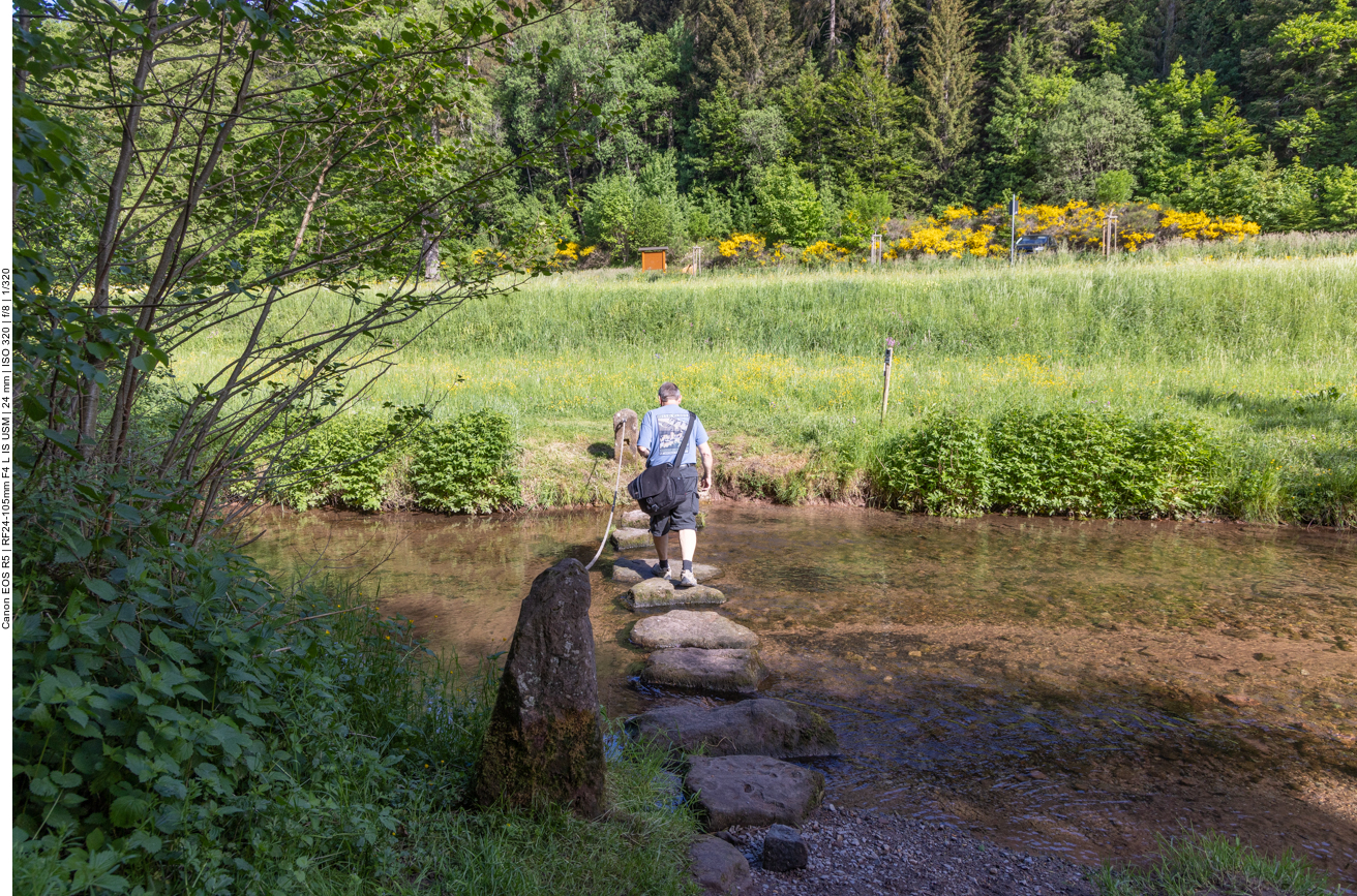 Überquerung der Teinach
