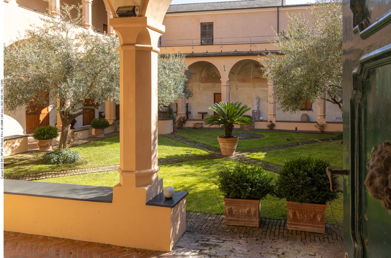 Blick in den Garten