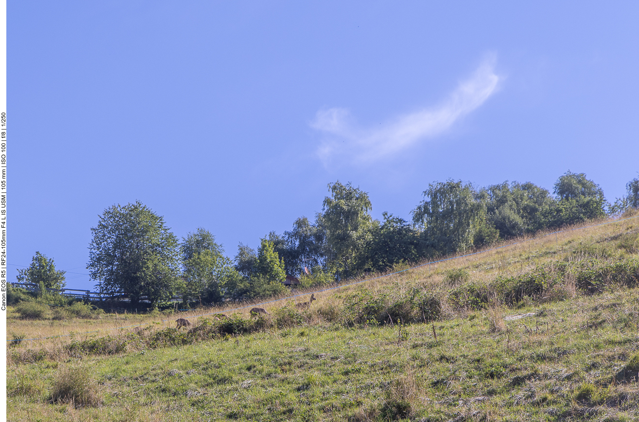 Hier etwas besser zu erkennen