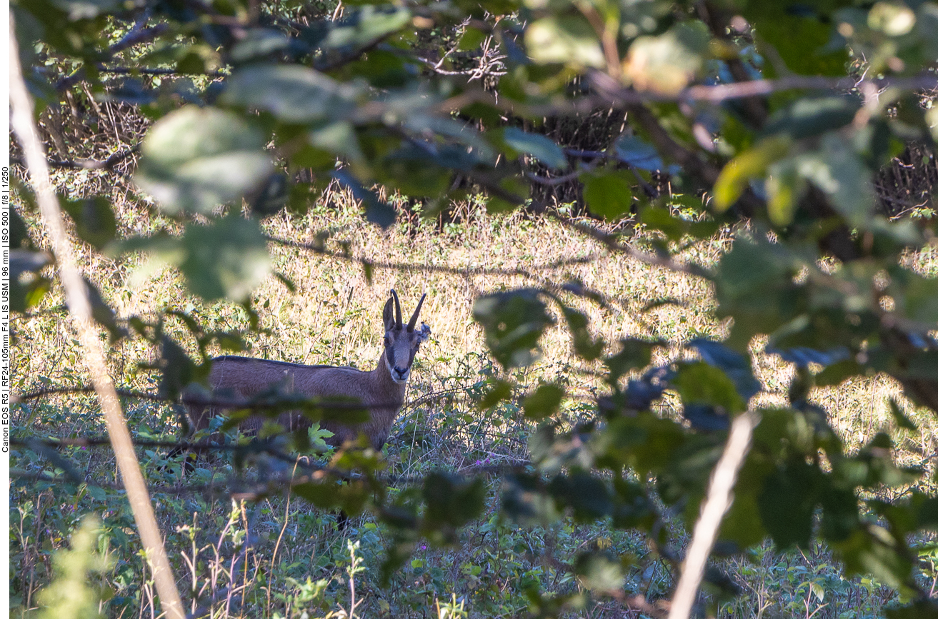 Sie schaut ganz neugierig ...