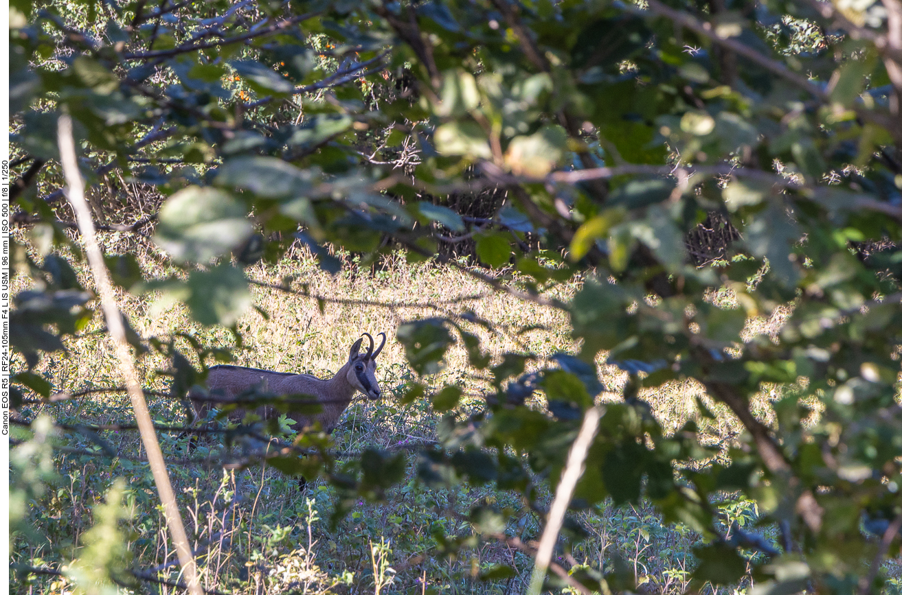 ... und ist garnicht so weit weg