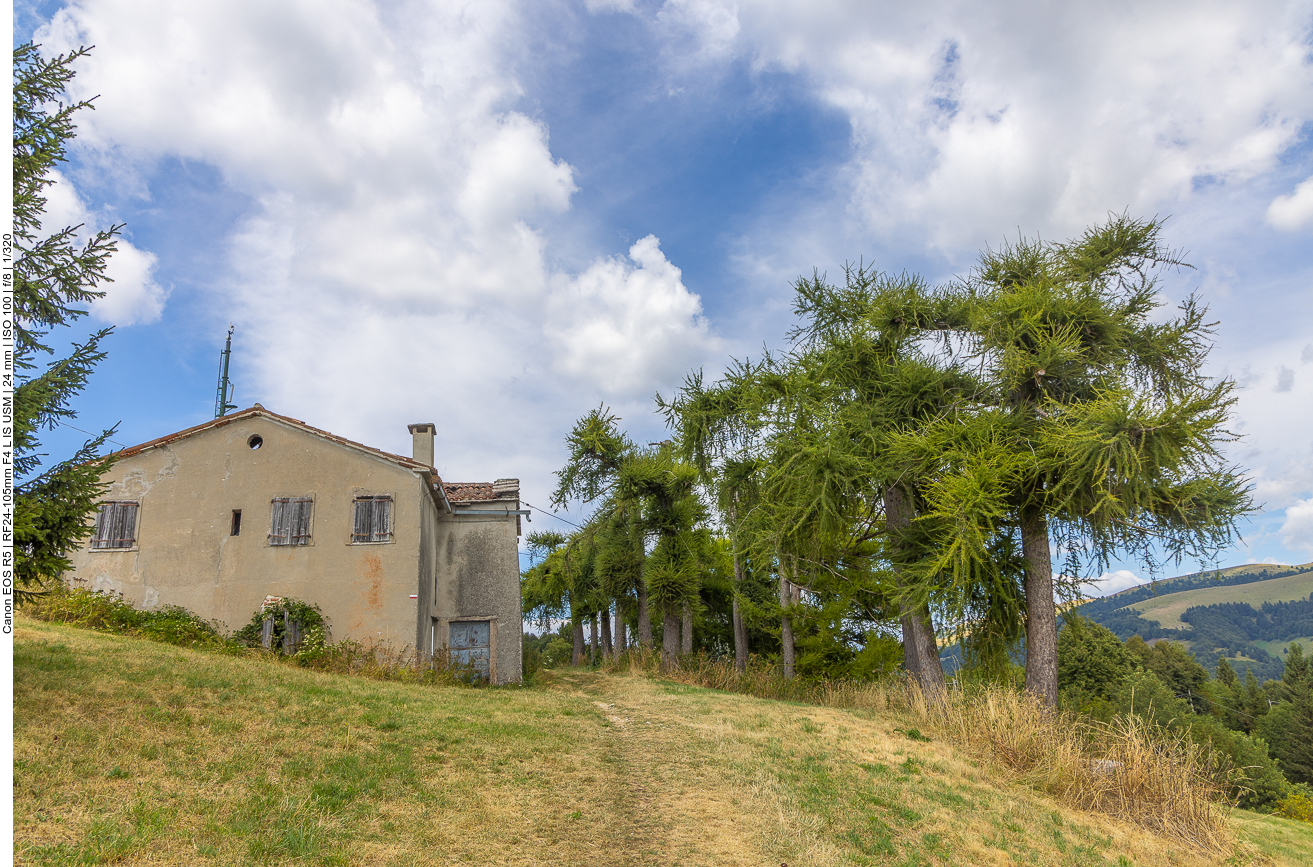 Altes Haus und gestutzte Bäume