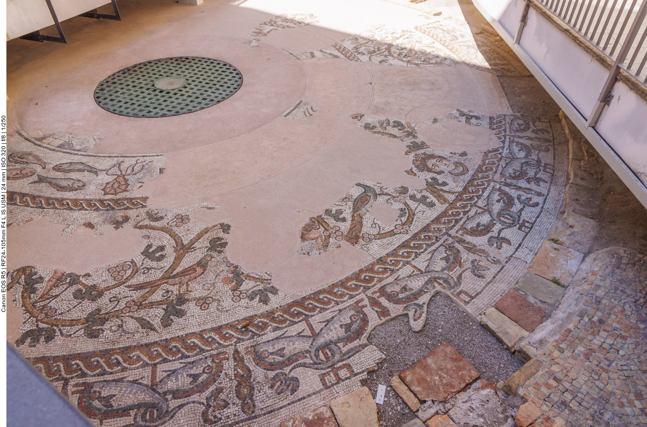 ... gibt es ein freigelegtes Mosaik